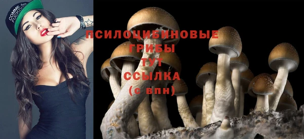 гашишное масло Тында