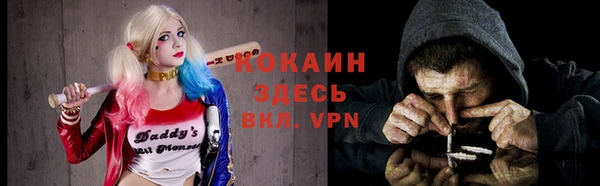 стаф Тутаев