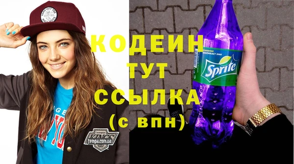 стаф Тутаев