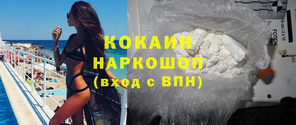 стаф Тутаев