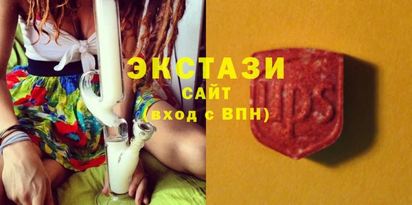 стаф Тутаев