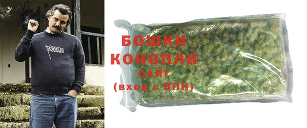стаф Тутаев